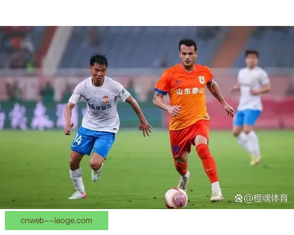 亚冠精英联赛山东队征战赛场全景解析与未来展望
